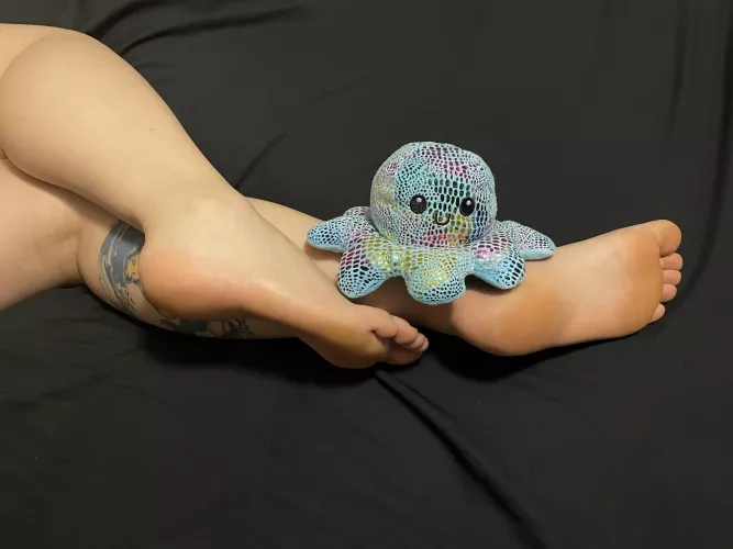 Squishy says hi ๐ค