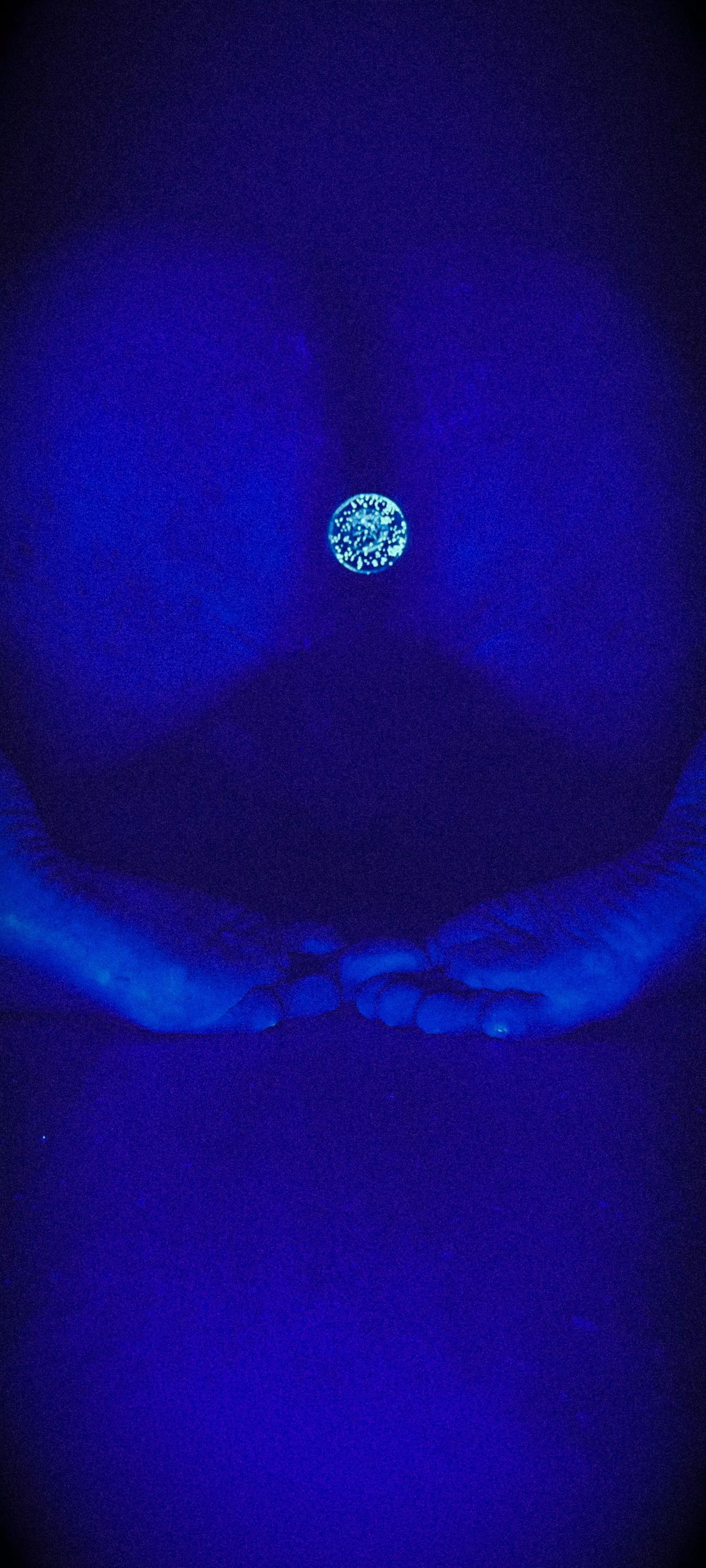 Stare into my crystal ball... Stare into my crystal ball...