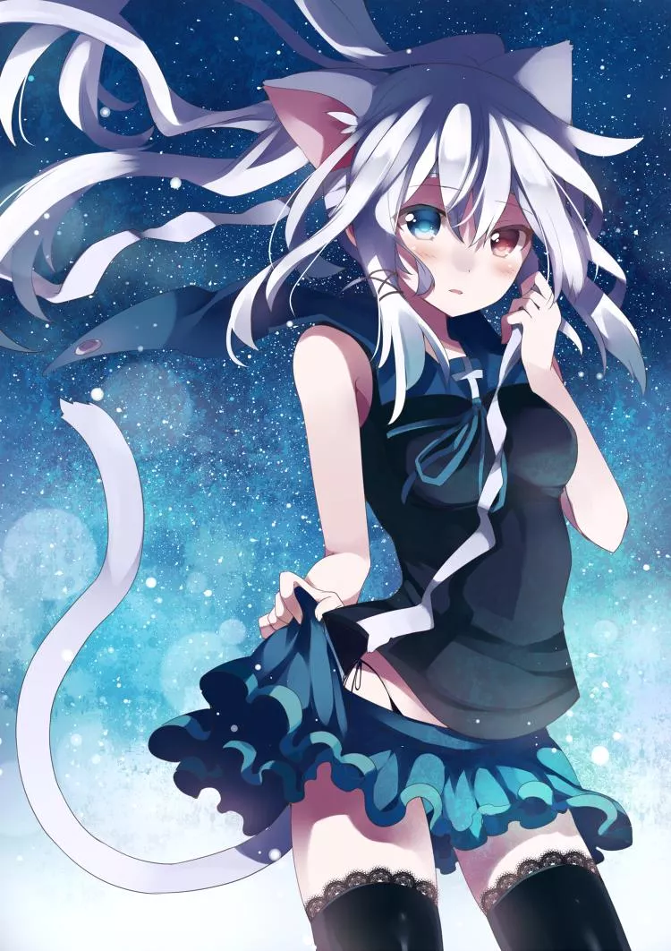 Starnight Starnight