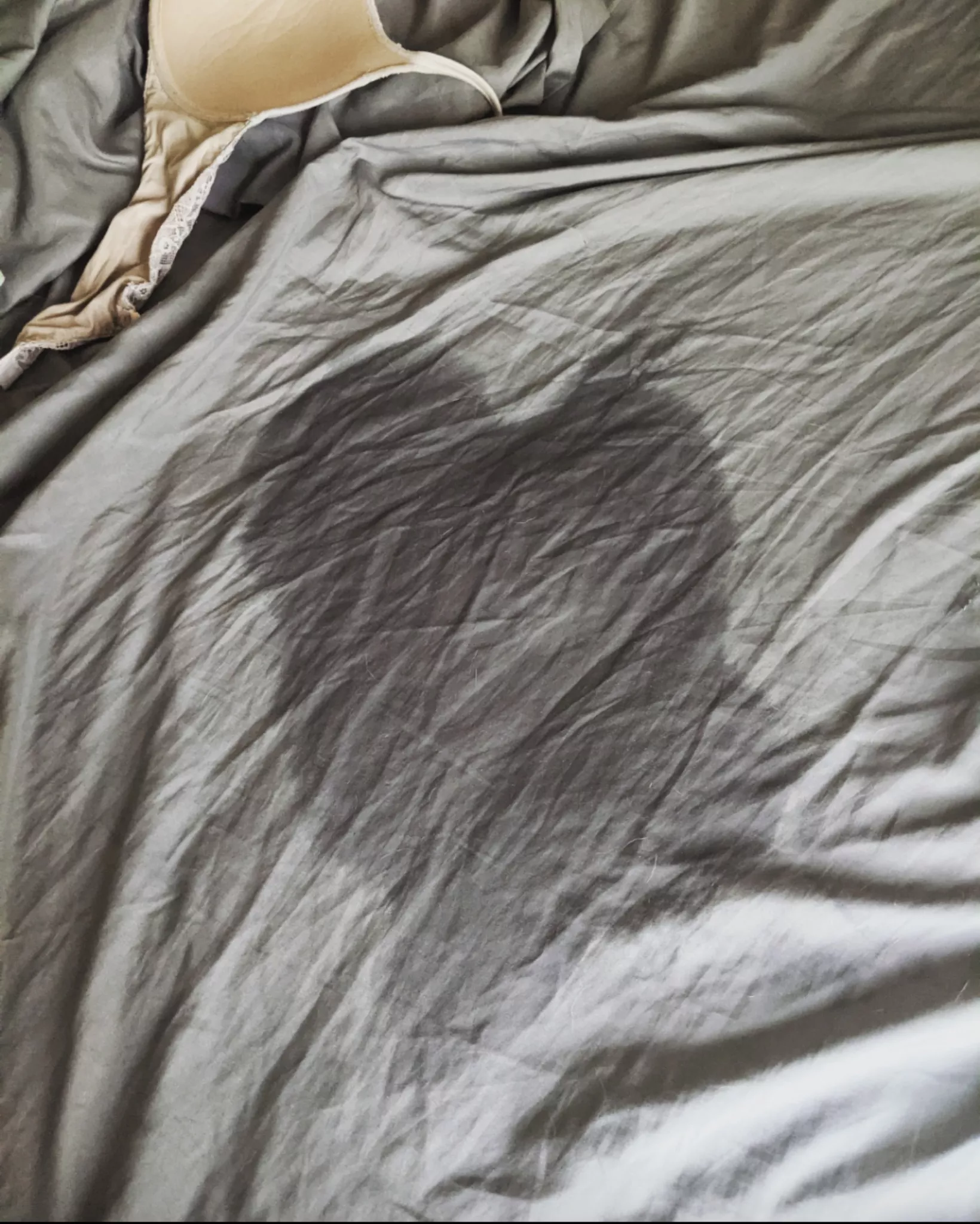 Started my morning the wet way...