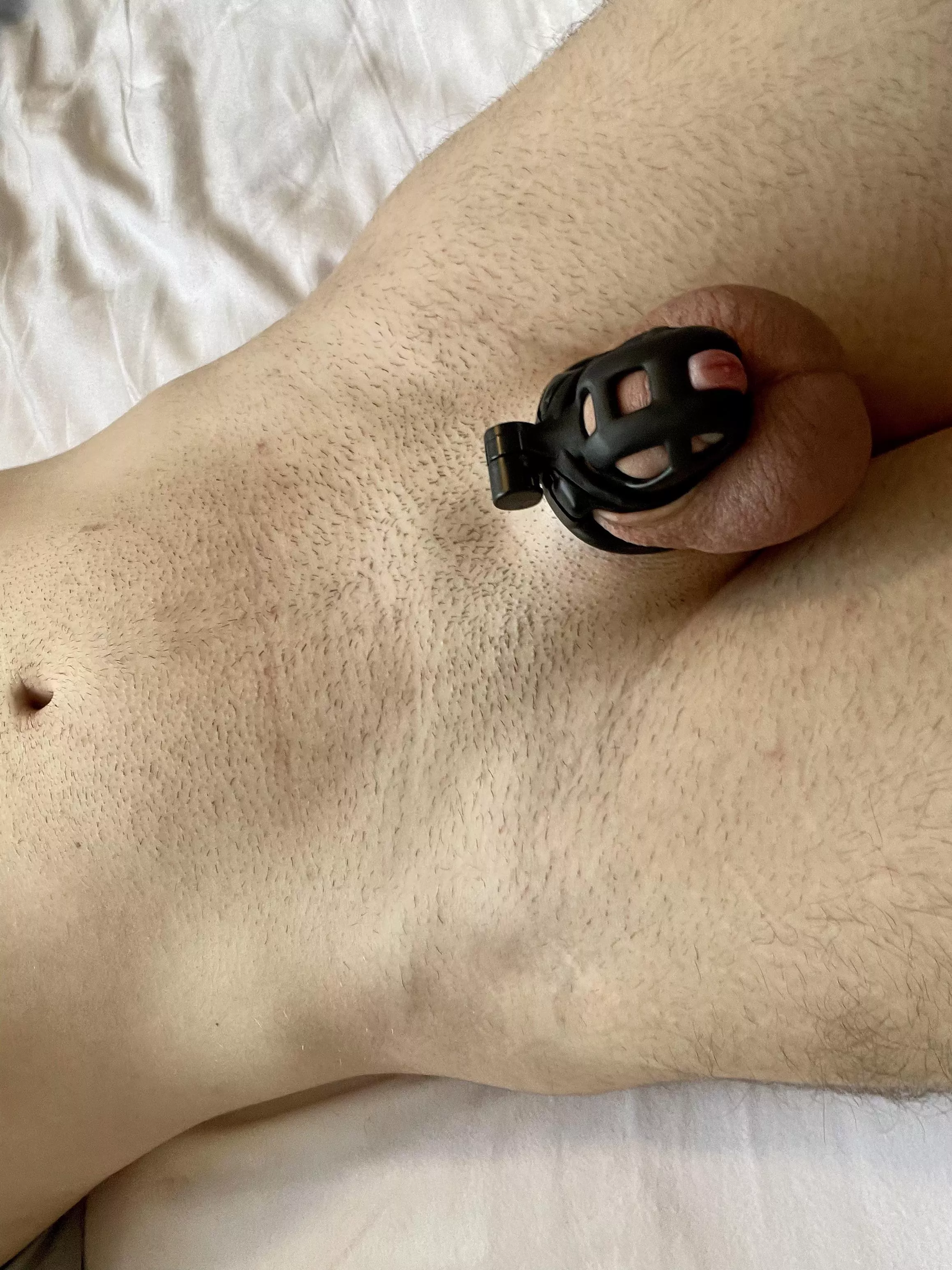 Starting to really enjoy this new cage