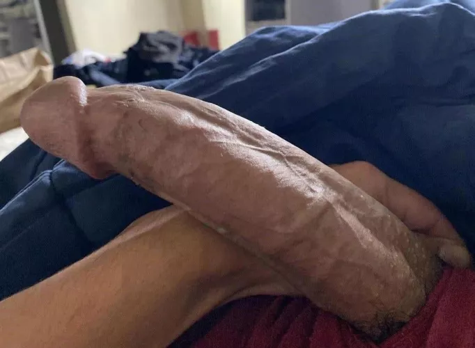 Stay horny