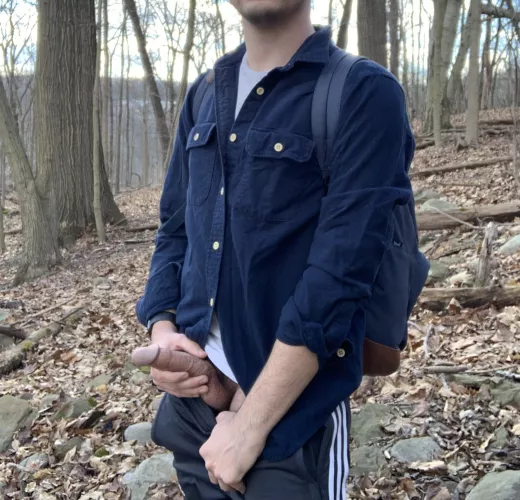 Stepped off the trail