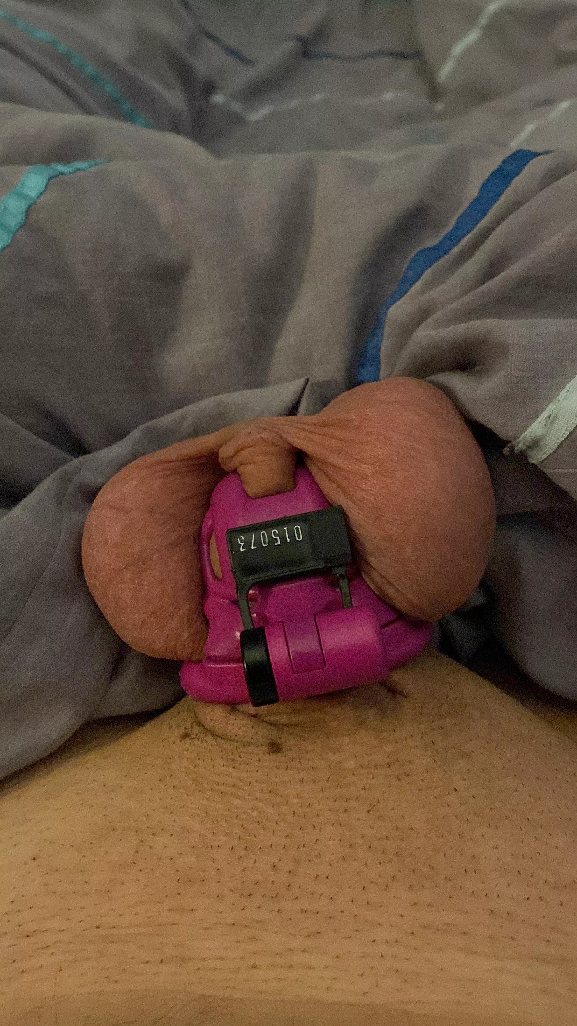 Still small. Still locked. Still no cum in 20 days😳 Still small. Still locked. Still no cum in 20 days😳