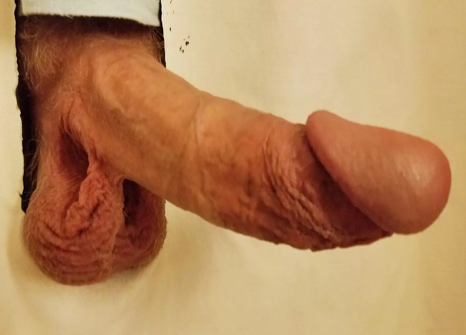 Stop by my private gloryhole in North Dallas if you want your balls worshipped Stop by my private gloryhole in North Dallas if you want your balls worshipped