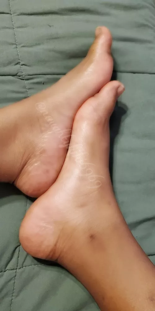 Stop its cute how you try to look away...we both know it's no use. You wish you could rub my soles.