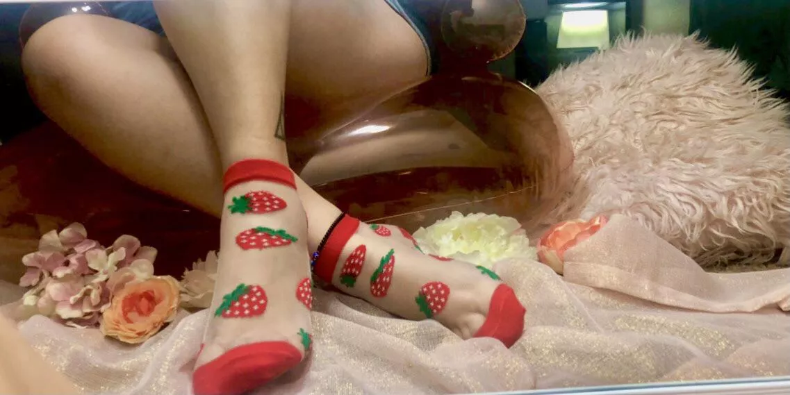 πStrawberry mesh socks! What do you think? π₯° πStrawberry mesh socks! What do you think? π₯°