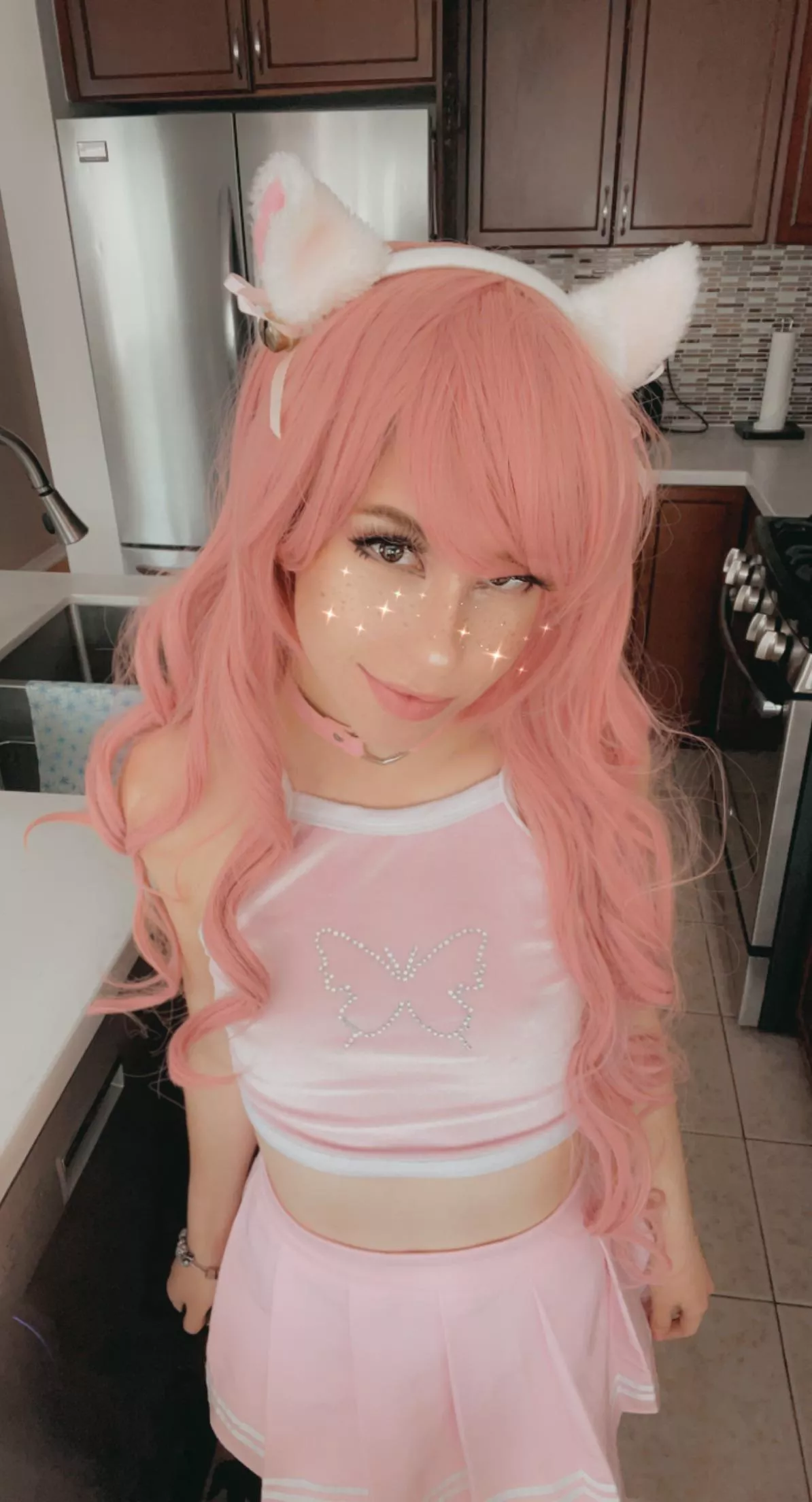 💗 Stray kitty looking for a home 💗