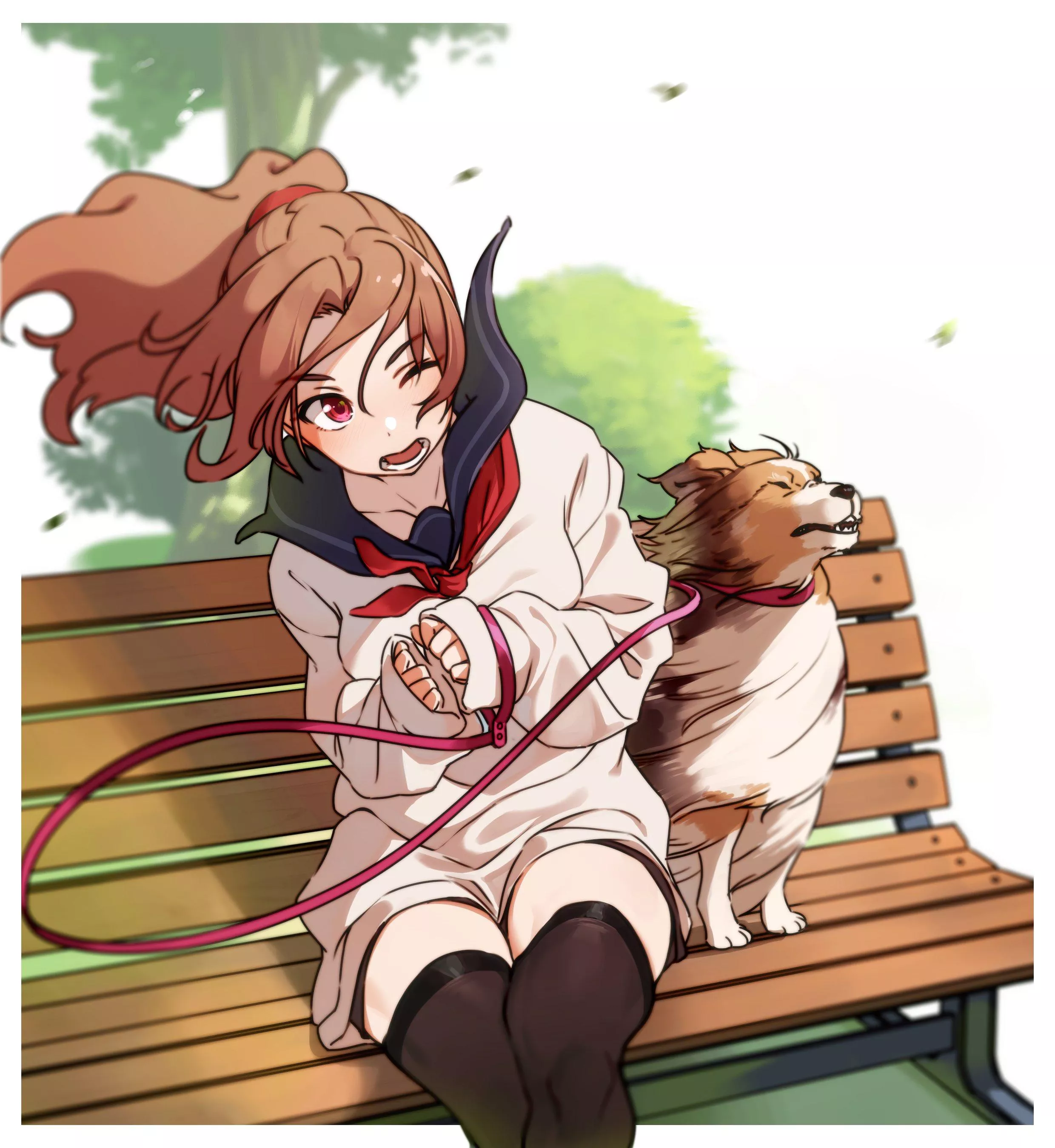 strong winds on bench