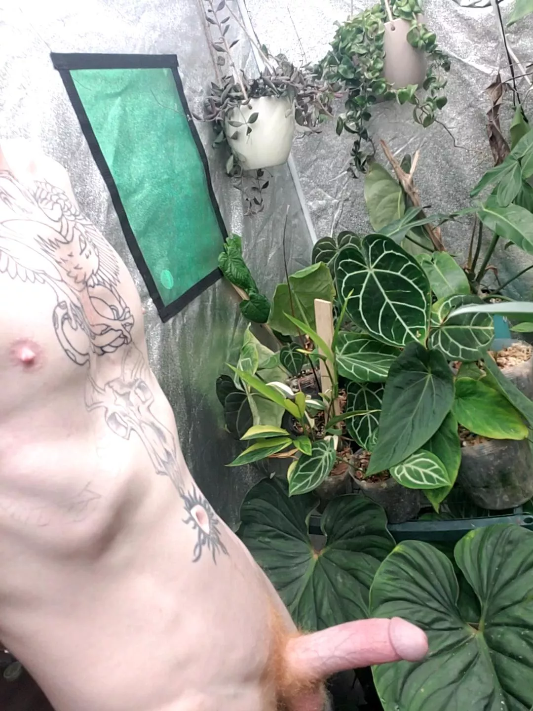 Stuff needs tending to. Can anyone give me a hand🌿🖤🌱