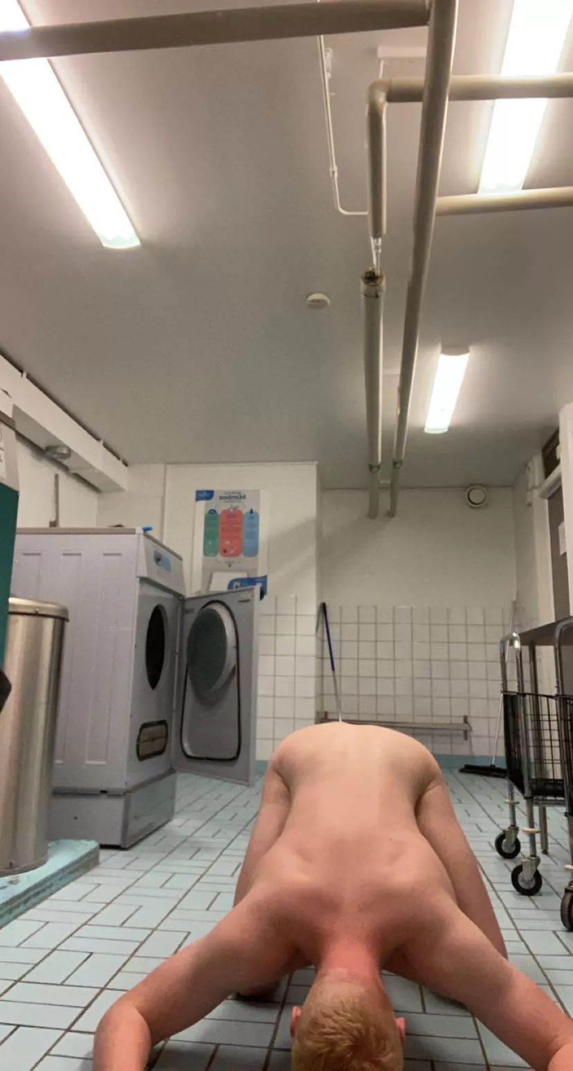 Stupid slave need for a owner