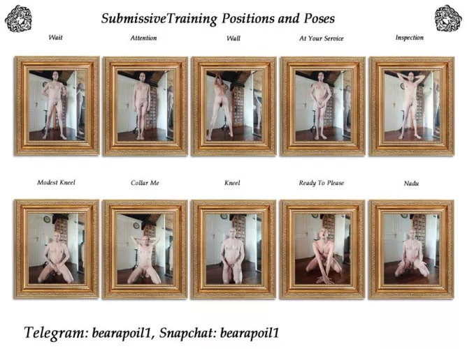 Submissive Training Positions and Poses 😉