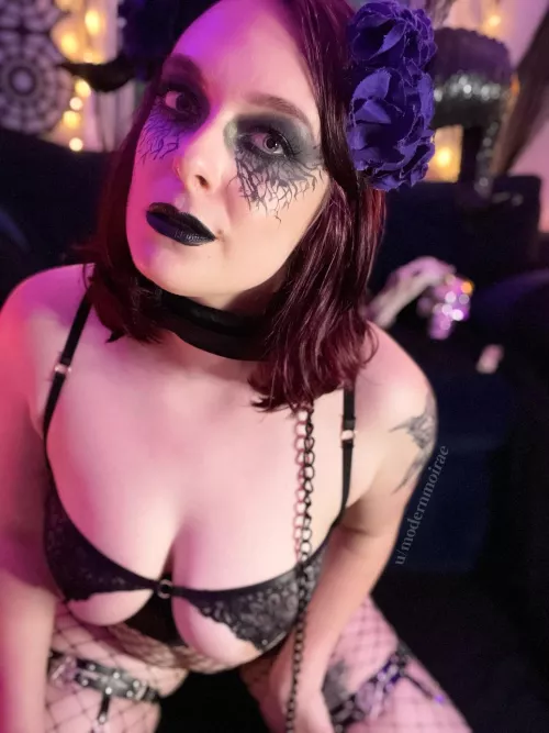 succubus = i suck, u bust succubus = i suck, u bust