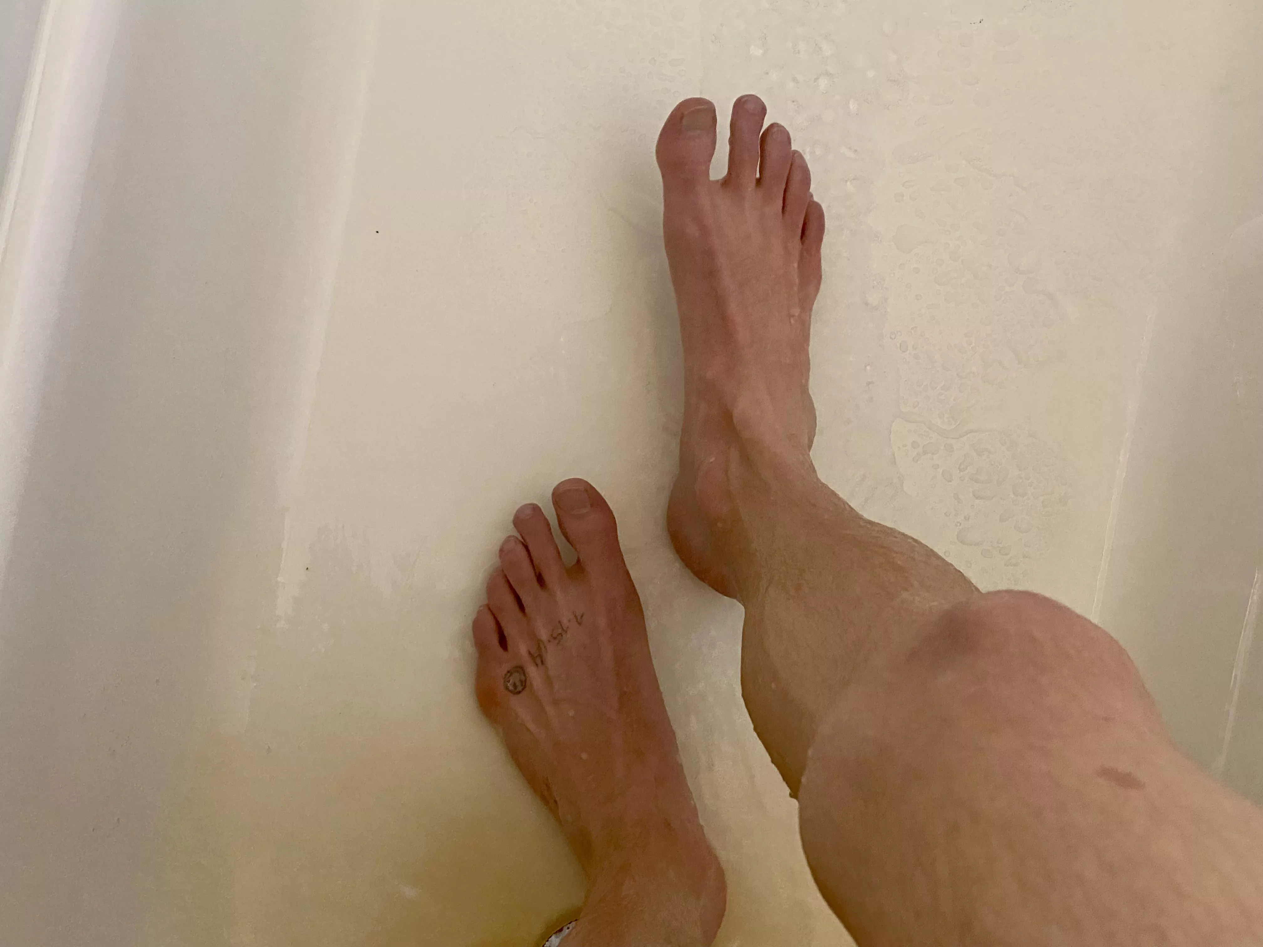 Such a great view…I just wish there was a loser kissing them.