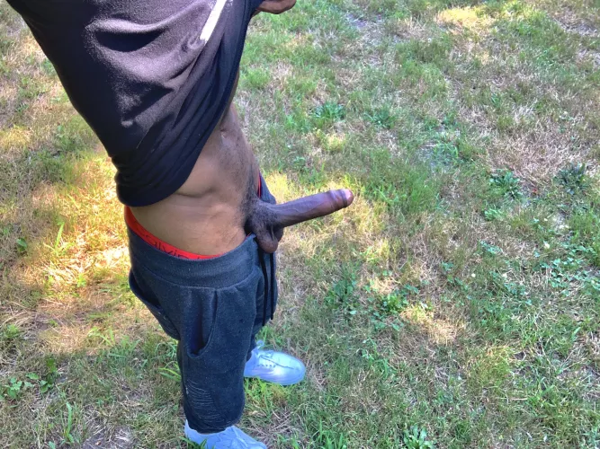 Suck me off in front of all these nice people