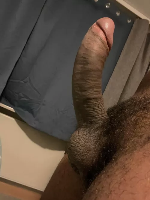 Suck me or fuck me?