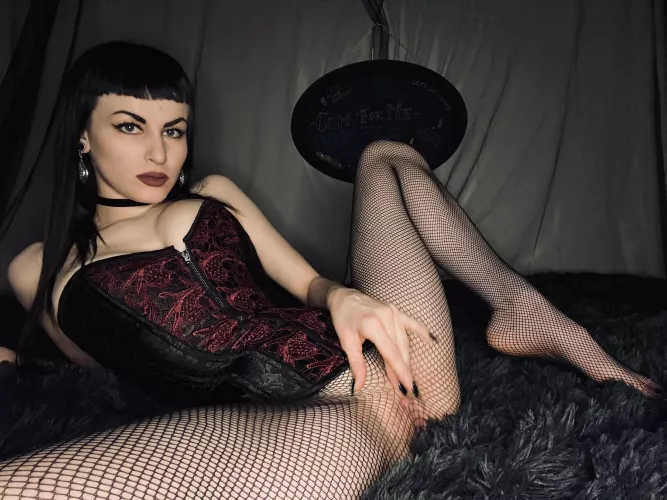 Suck my toes? Chat?