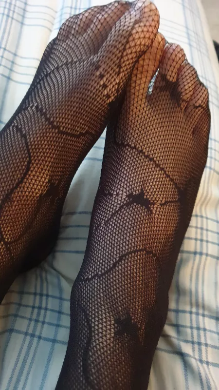 Suck The Sweat Out Of My Stockings 😈 Suck The Sweat Out Of My Stockings 😈