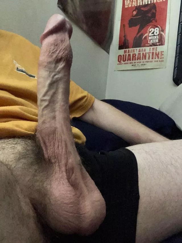 Suckable cut cock? 19 Suckable cut cock? 19