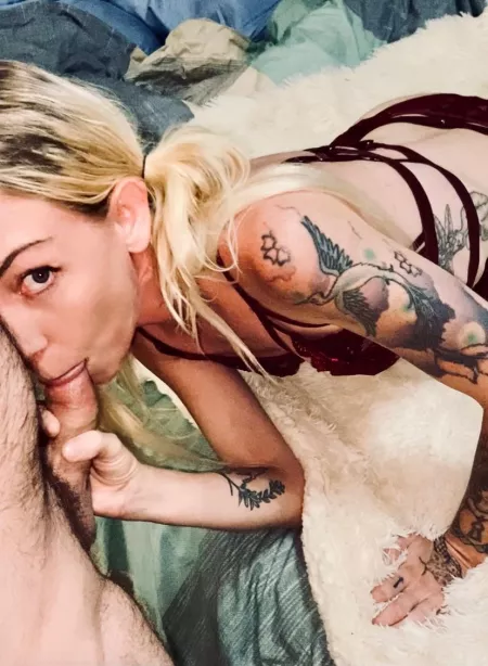Sucking that COCK! Sucking that COCK!