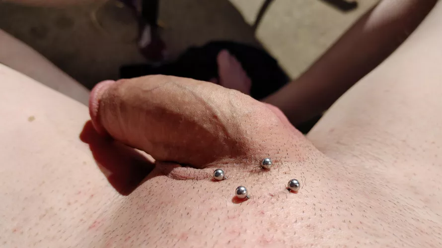 Sun bathing on the portch, in an apartment complex. [M]