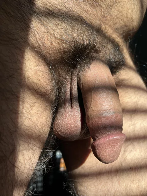 sunbathin’