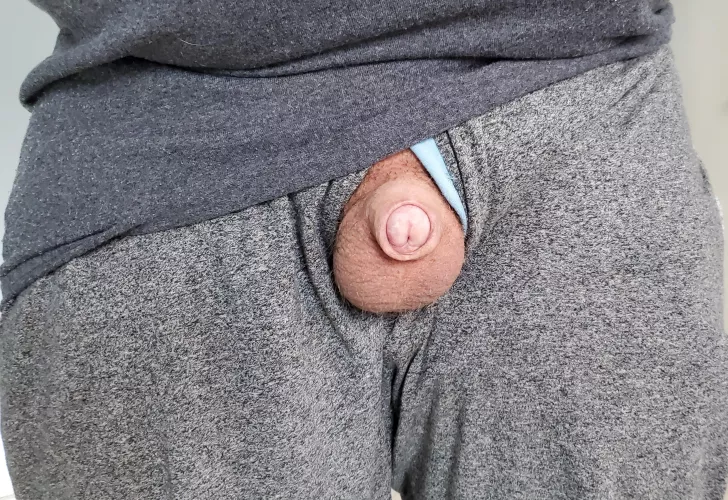 Sunday snapshot [41]