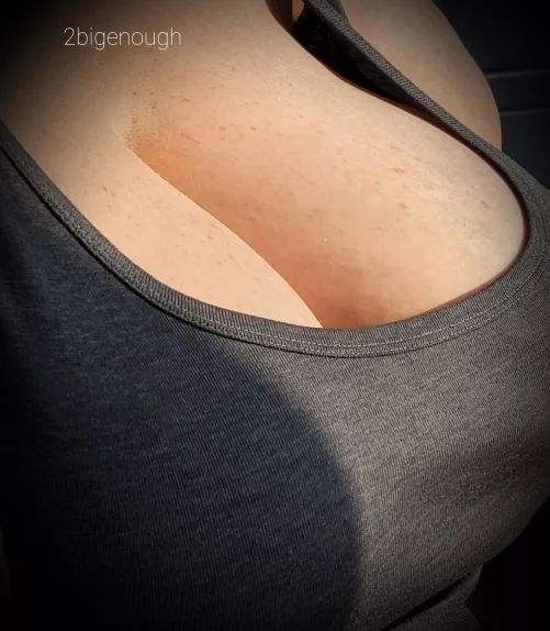 Sunny boobs