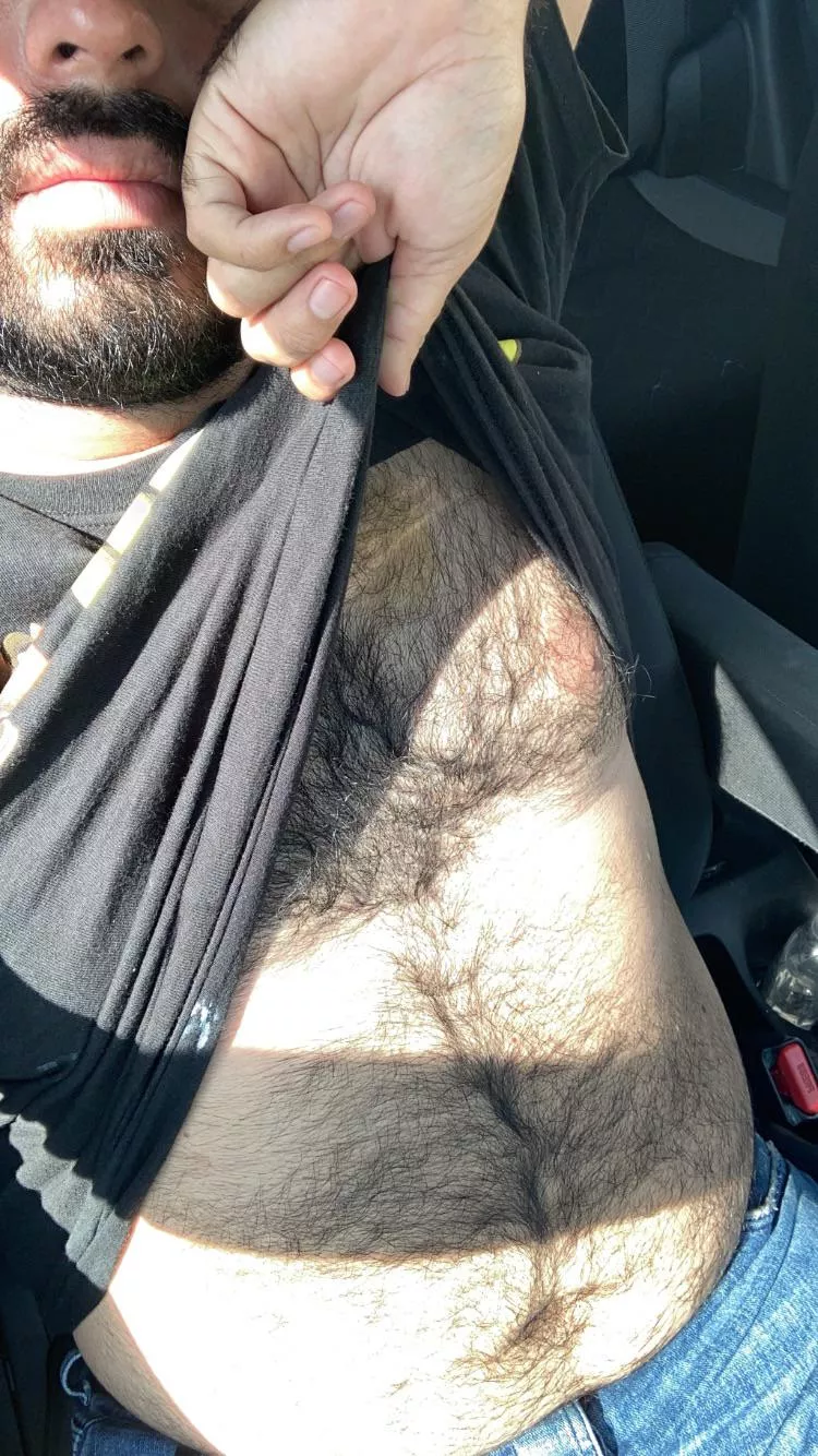 Sunny day 🐻 Sunny day 🐻