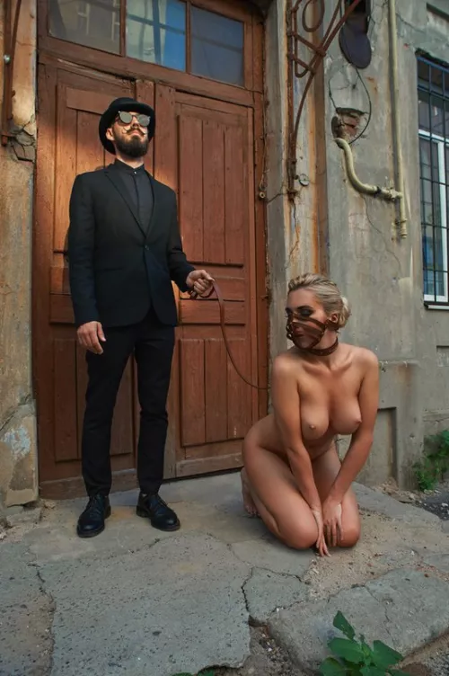 Sunny day ... we should go for a walk