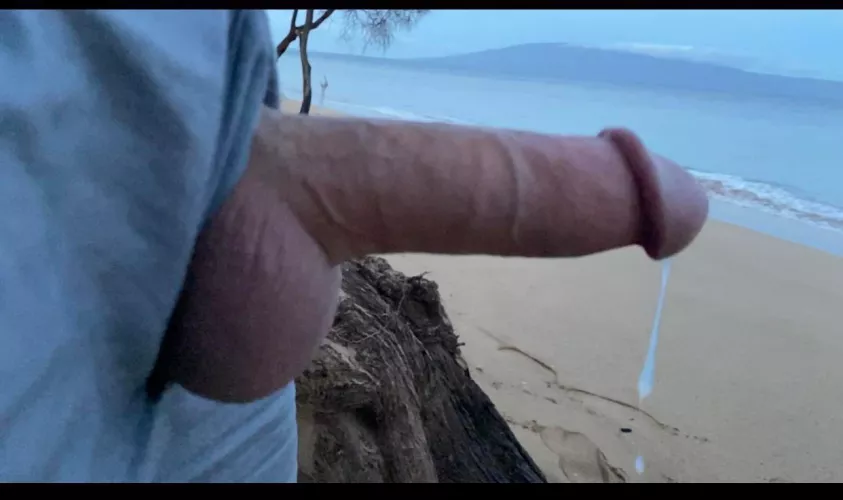 Sunrise beach session