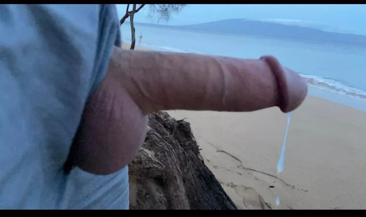 Sunrise beach session