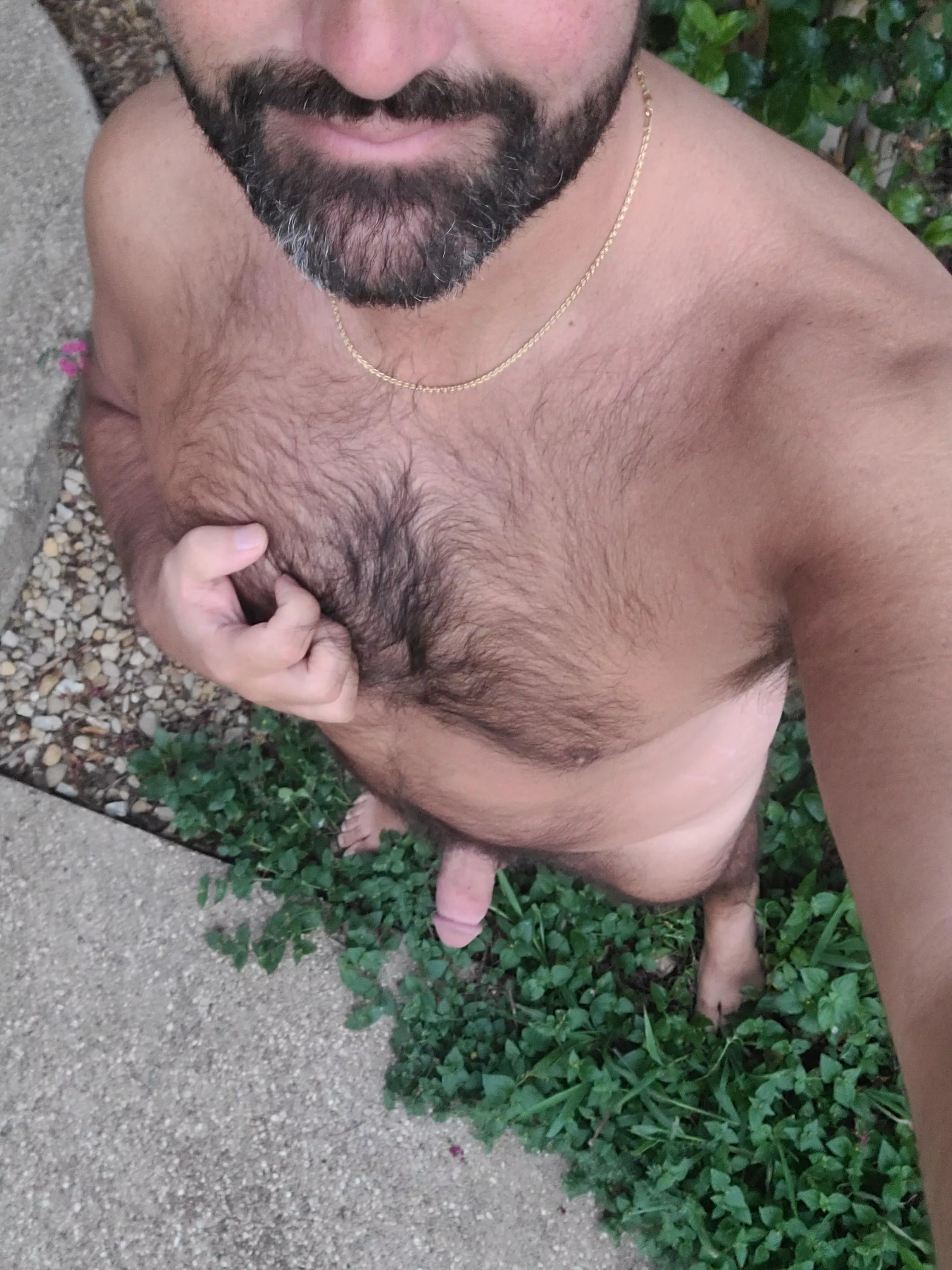 Sun's out, everything's out! Sun's out, everything's out!