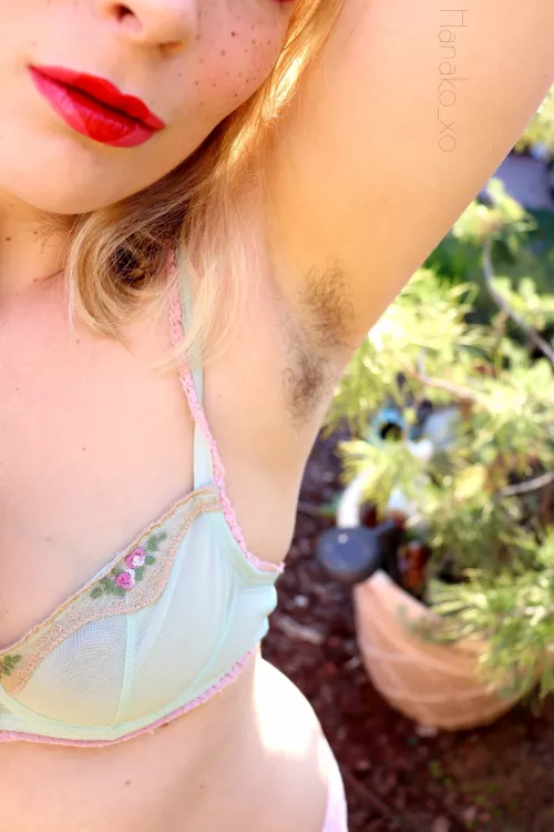 Sunshine hits just right 🦋