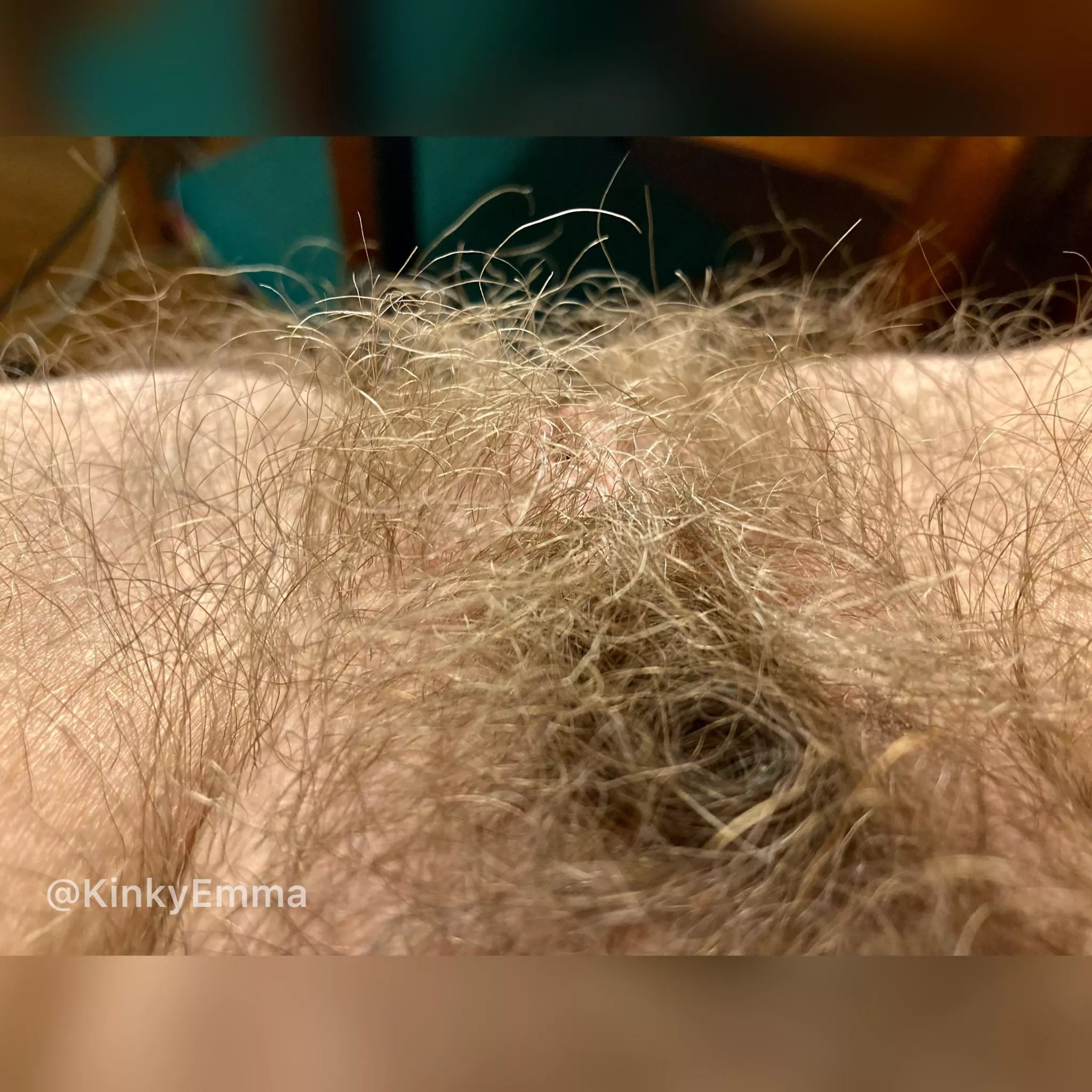 Super hairy! Wanna feel my curls on your face?