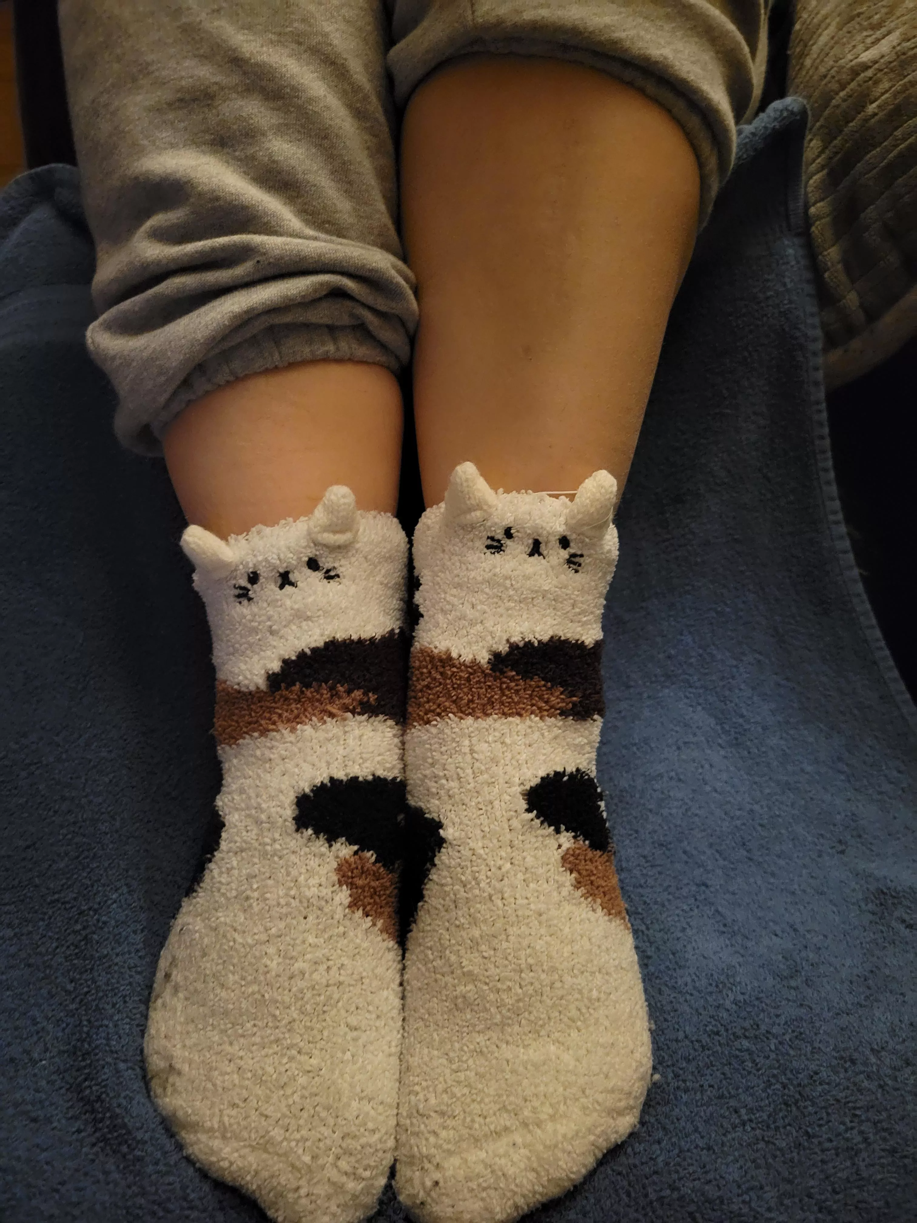 Super soft critters say herro!