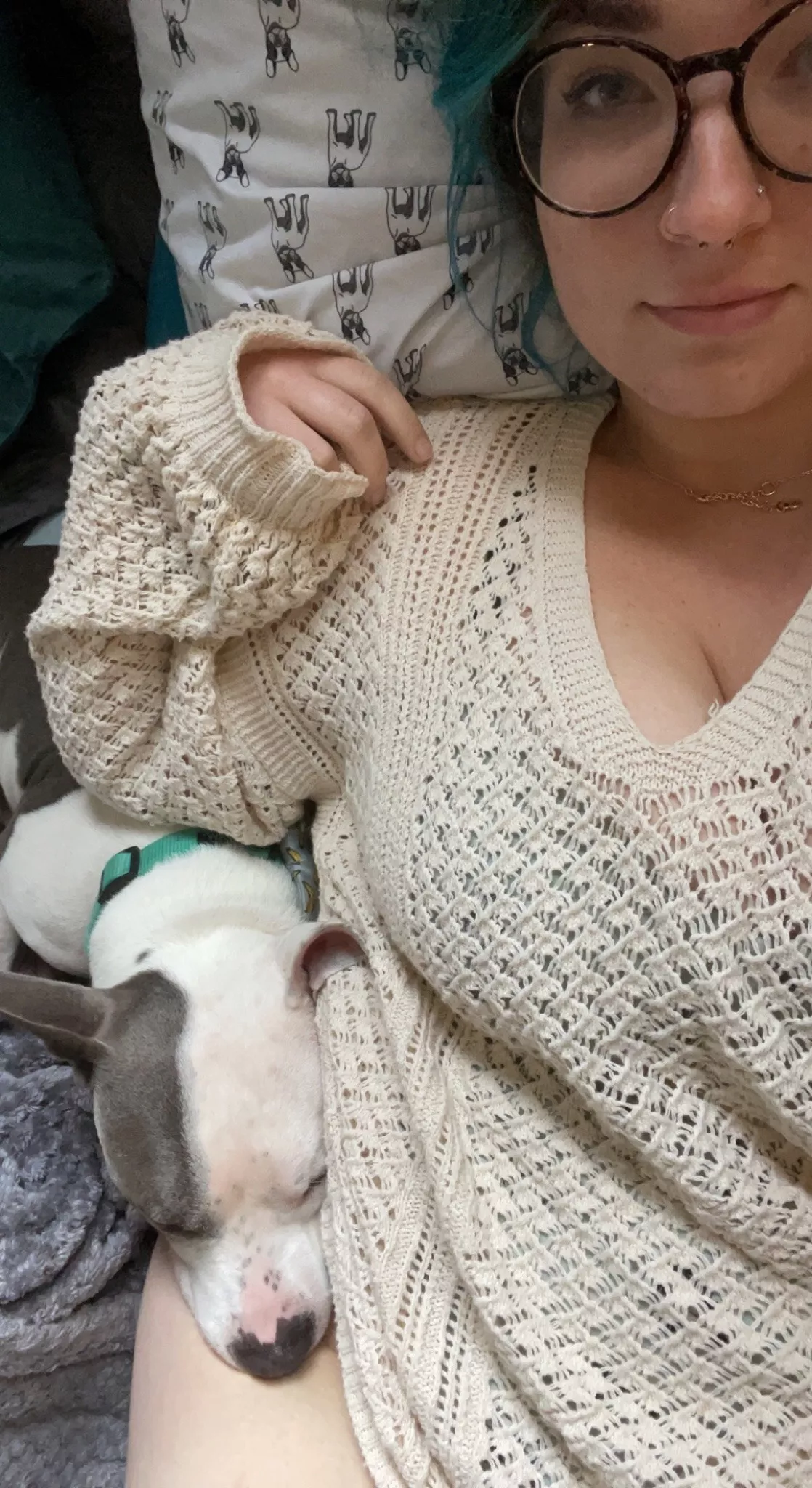 Sweater, puppy Sweater, puppy