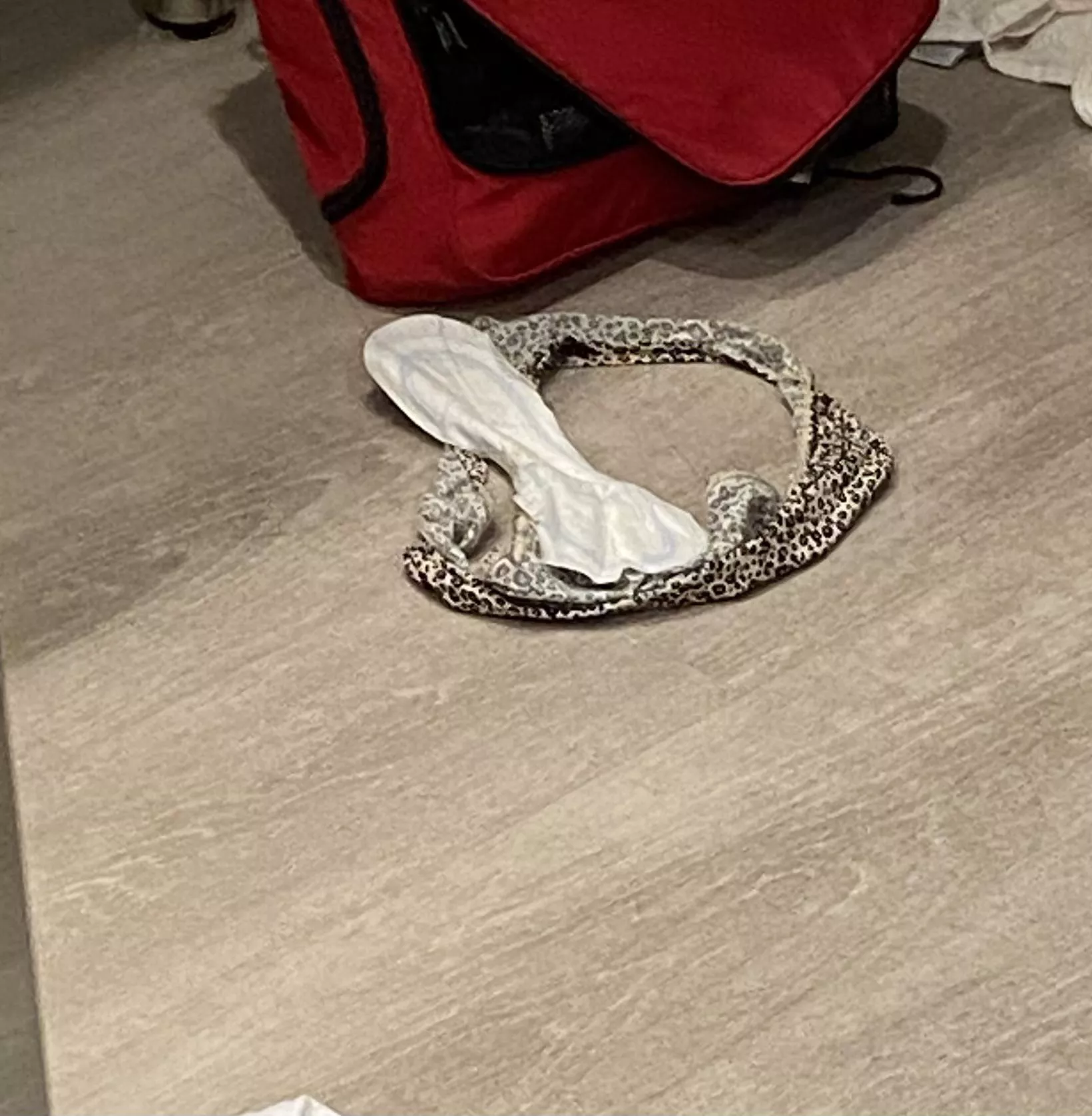 Swim Team Affiliated. Leopard Skin Panties and Used Pad for the Win.