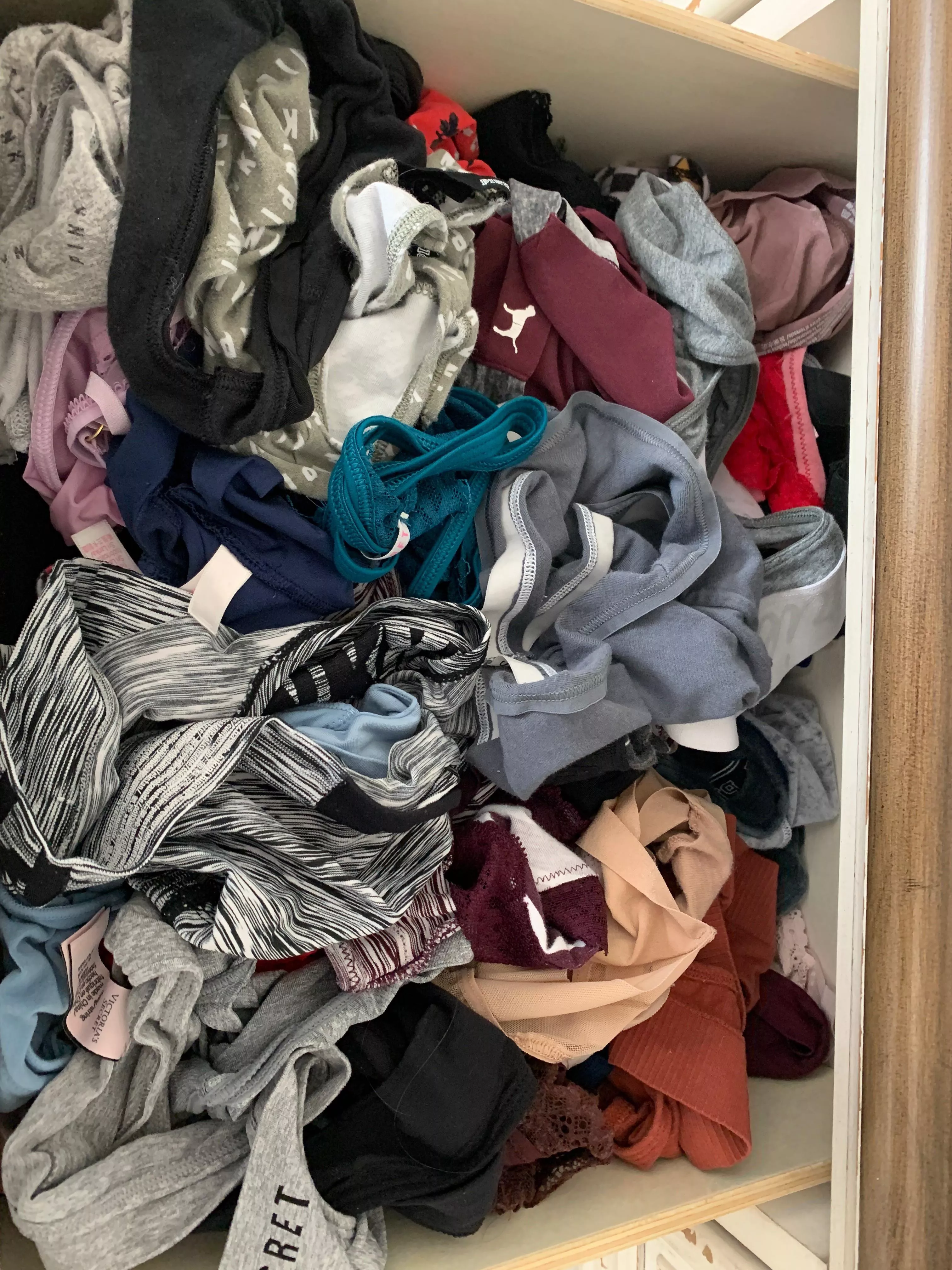 Swim Team’s Complete Panty Collection.