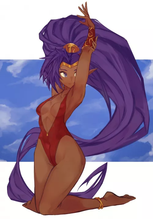 Swimsuit Shantae (Qmerlem) [Shantae]
