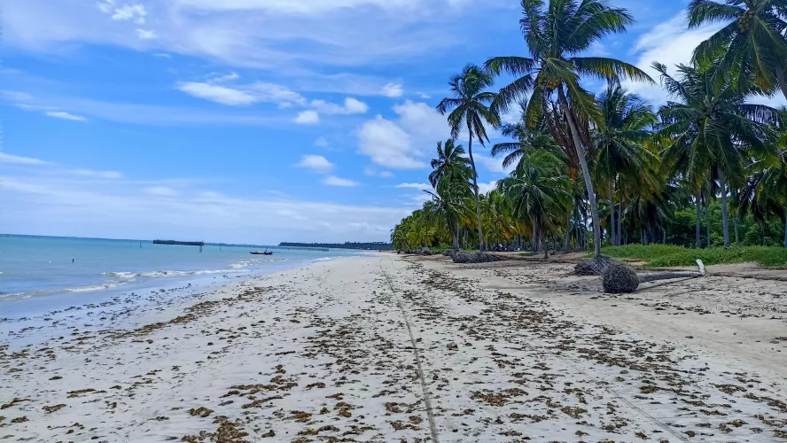 São Miguel dos Milagres - Alagoas/BR