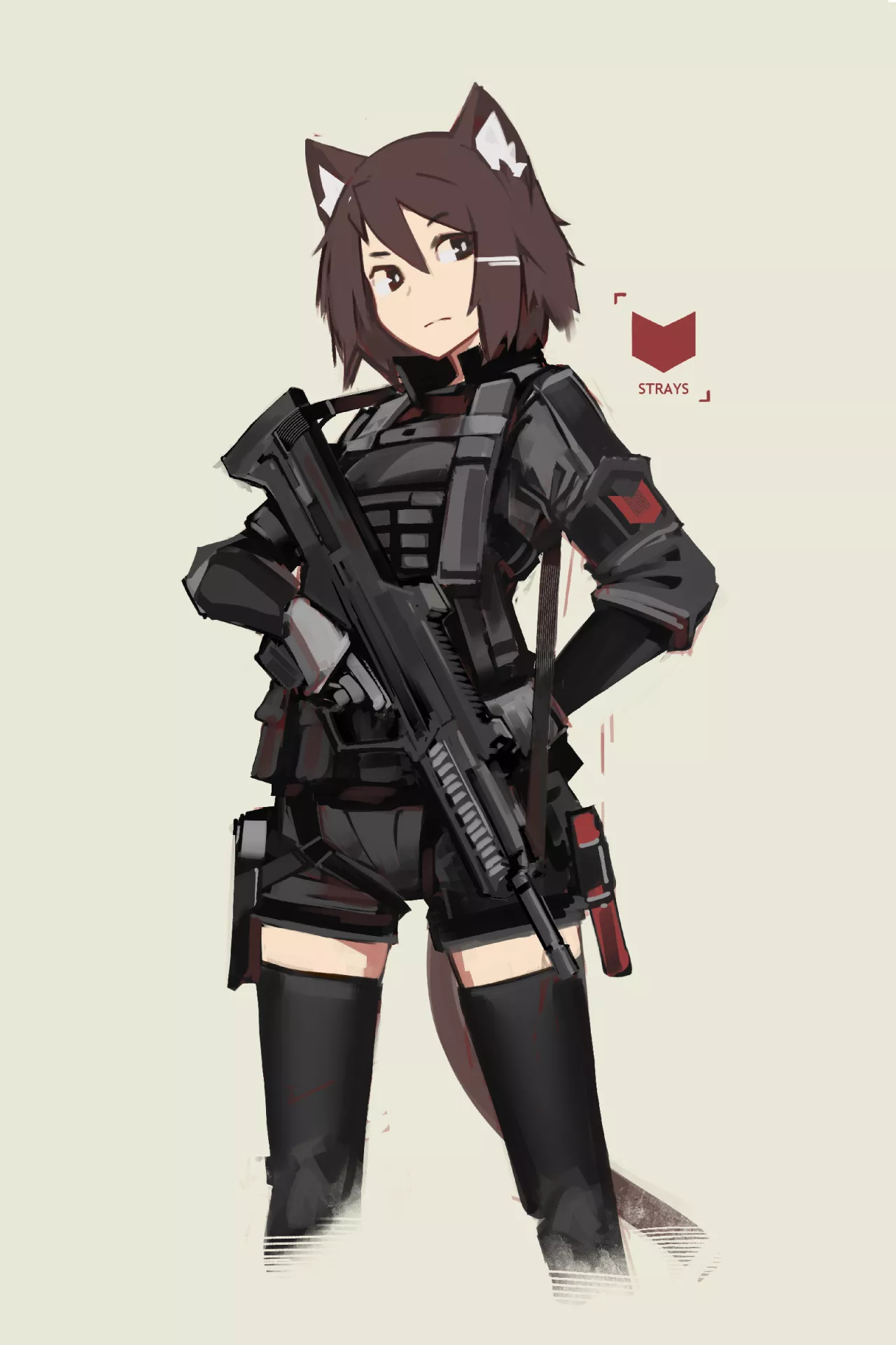 Tactical cat Tactical cat