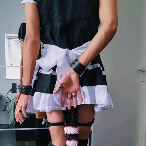 Tails make everything better. Including chores 🙆🏻‍♂️