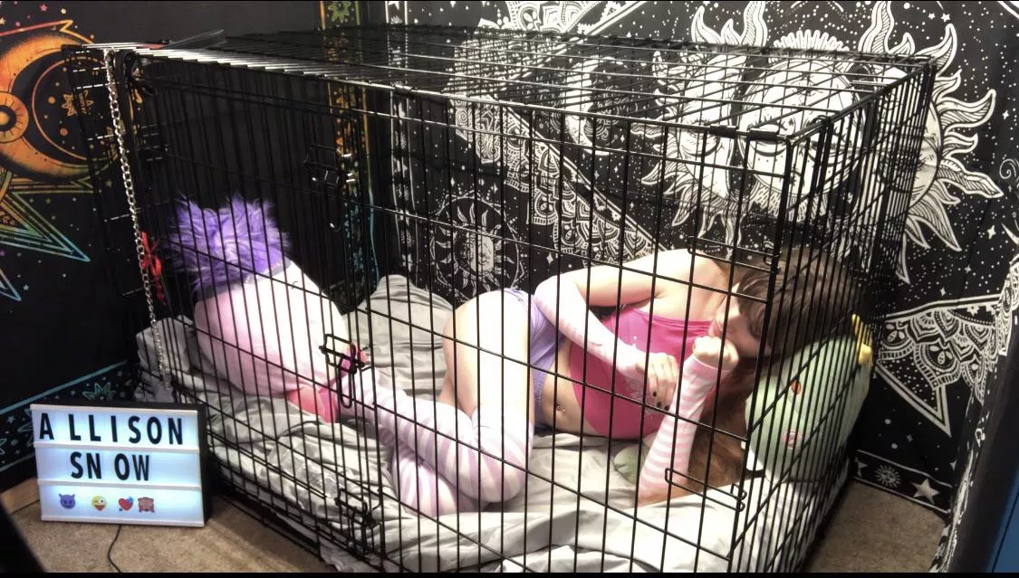 Taking a nap🐱💖