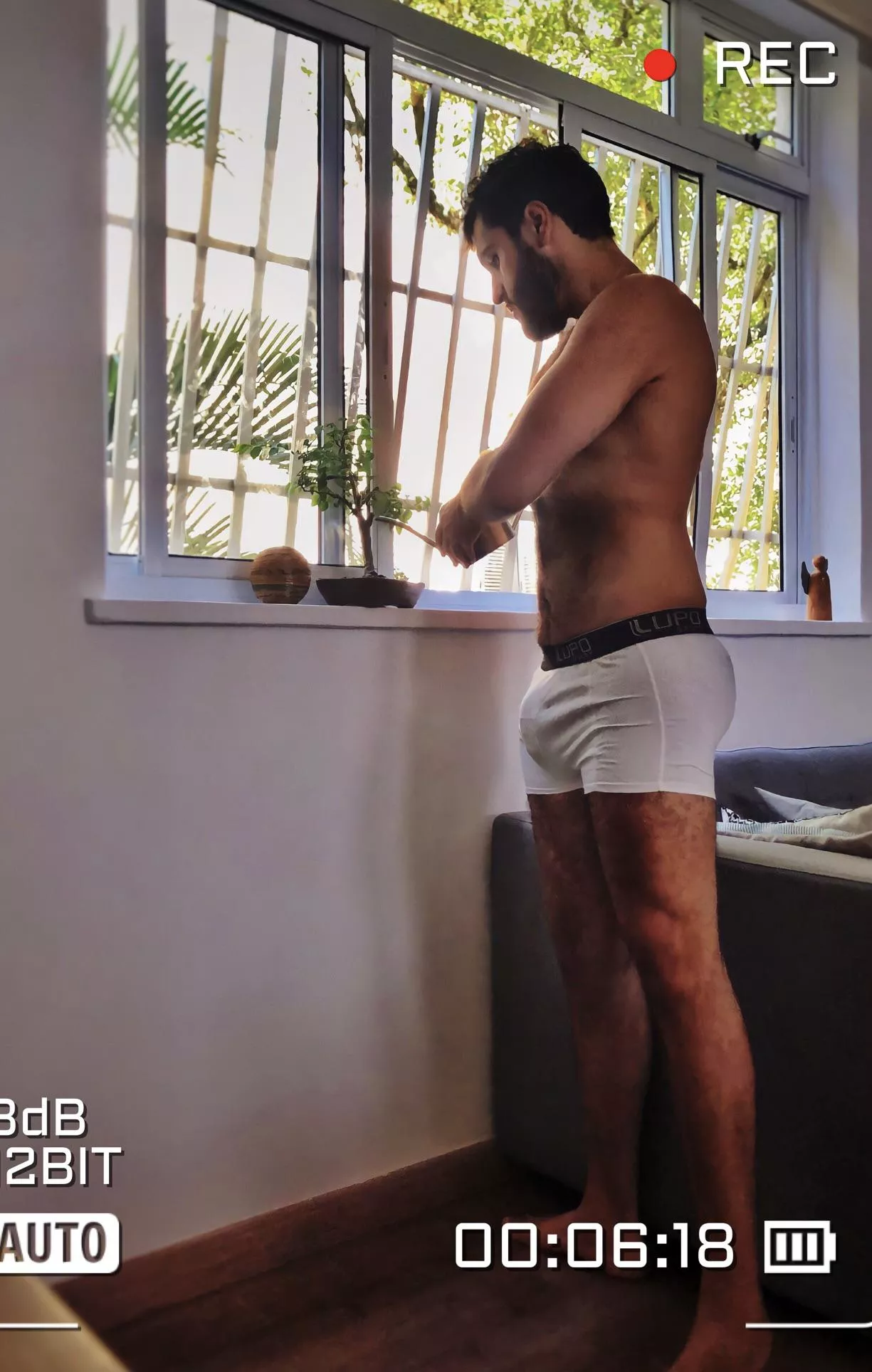 Taking care of my bonsai tree