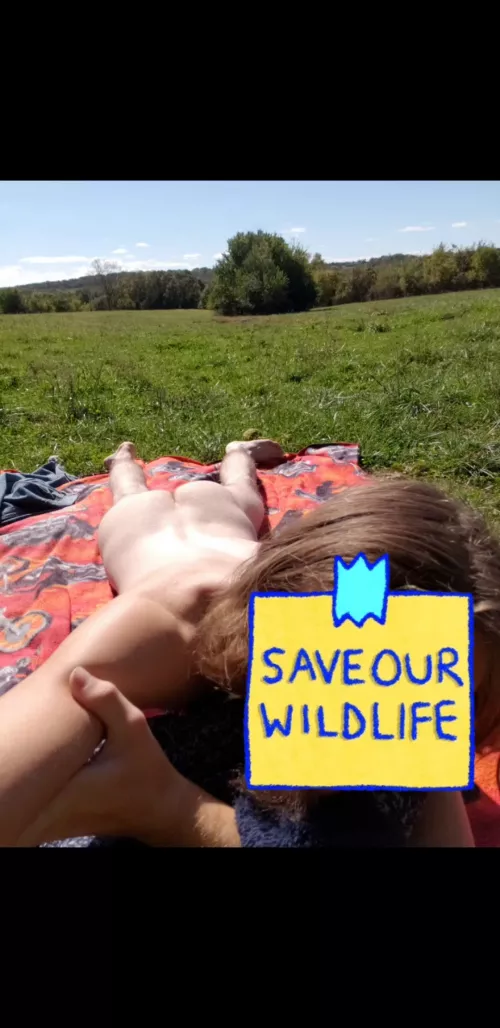 Taking in some sun !🌞