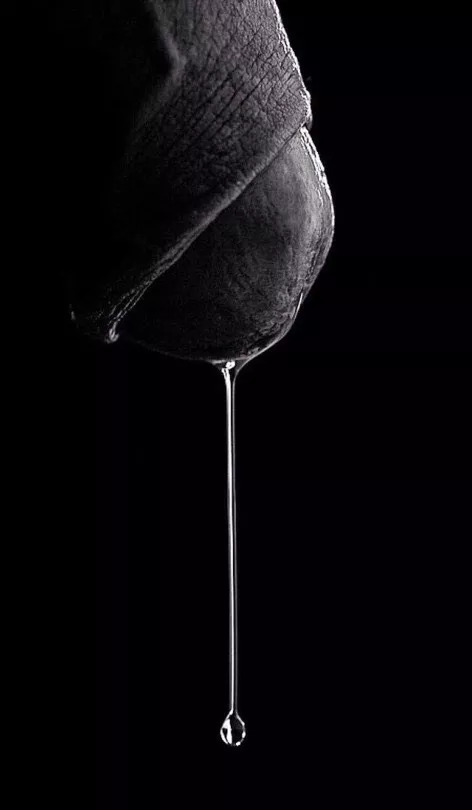 Teardrop Teardrop
