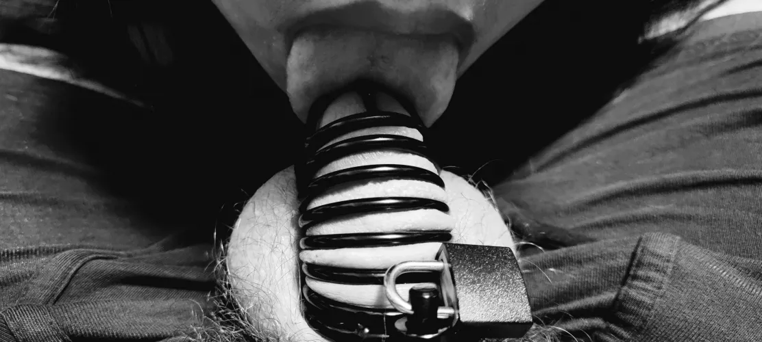 Teasing a cock in a cage, think it'll break out? [F][M]