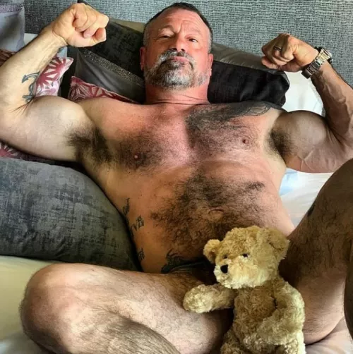 Teddy Bear