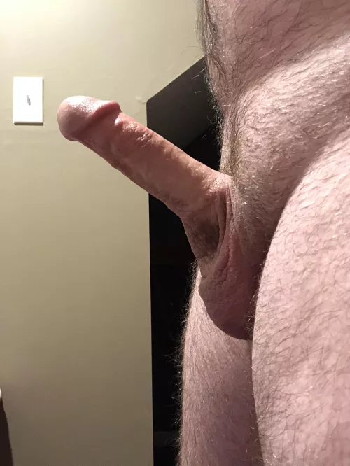 Tell me everything that you think about my cock